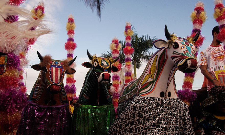 Complexo Cultural do Bumba meu boi pode se tornar Patrimônio Cultural Imaterial da Humanidade