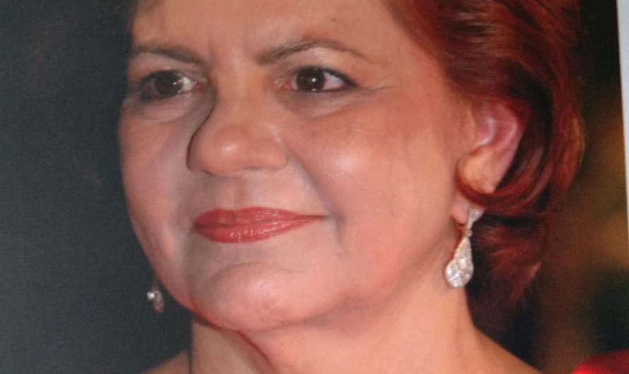 NOVA COTA DO LIVRO GARDÊNIA: FLOR DE LAPELA” MOVIMENTA MERCADO EDITORIAL LUDOVICENSE.