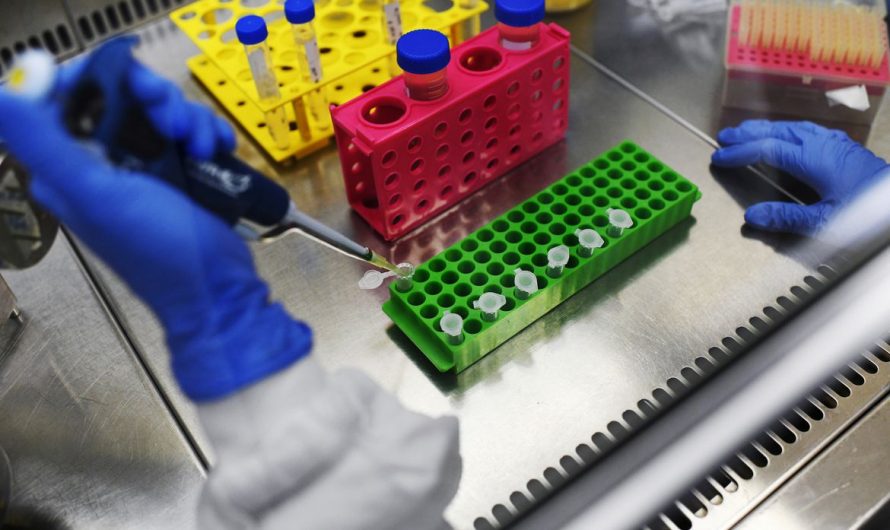Anvisa aprova aplicação de 2ª dose da vacina de Oxford