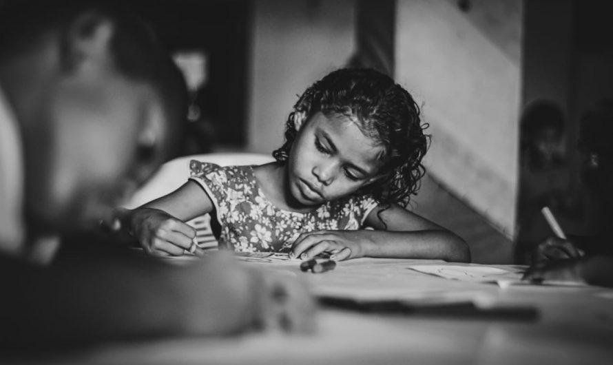 COLETIVO DE PROJETOS SOCIAIS REALIZA AÇÃO DE DISTRIBUIÇÃO DE KITS ESCOLARES NA ZONA RURAL DE SÃO LUÍS