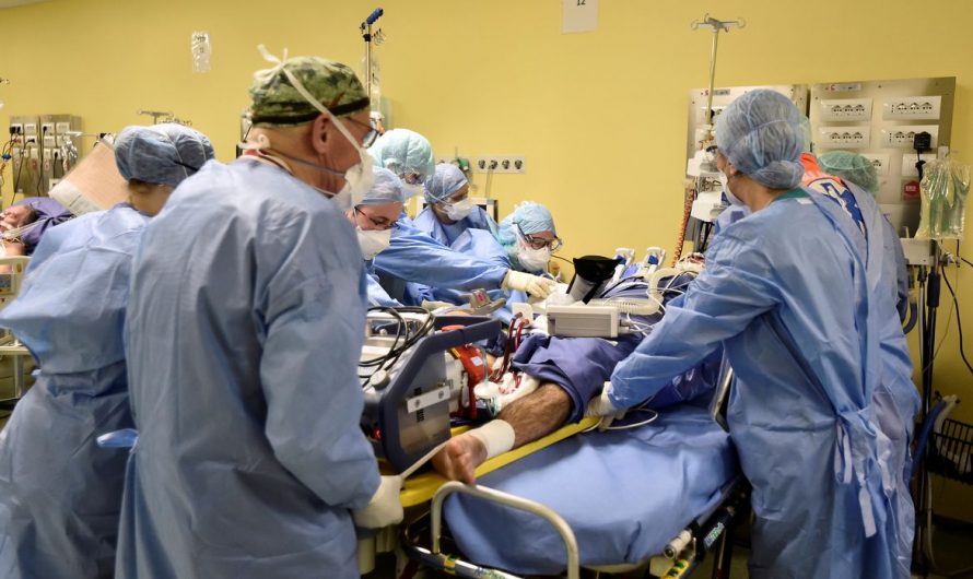 Brasil tem a 8ª maior taxa de letalidade de coronavírus no mundo