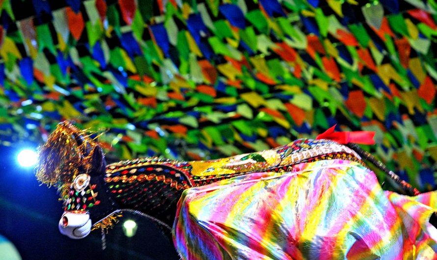 O QUE FAZER NO MÊS MAIS FESTEIRO EM MEIO A PANDEMIA?