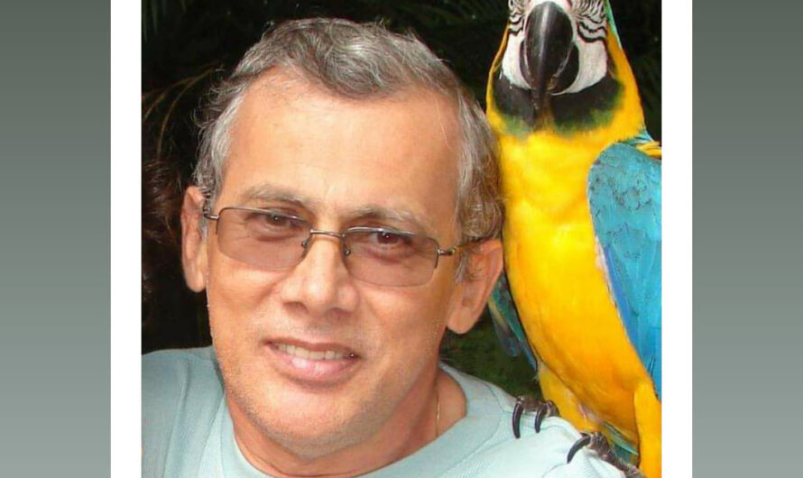 Morre Raimundo Campos, fundador do Bloco Jegue Folia