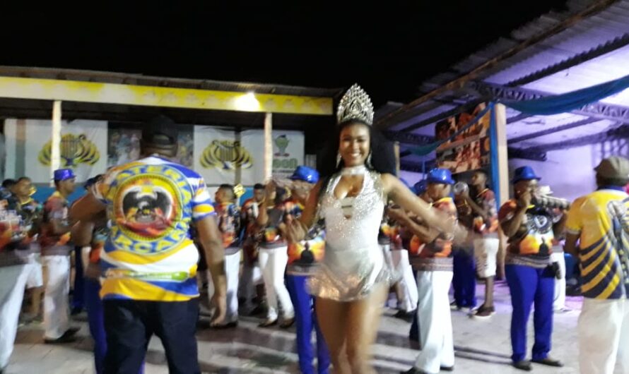 Favela do Samba festeja fim de ano com projeto de resgate musical