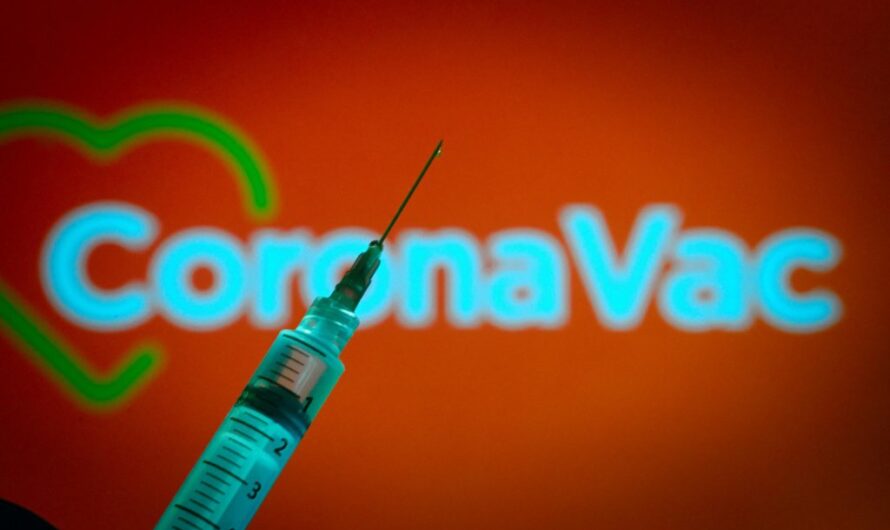 Vacinação contra covid-19 começa nesta segunda-feira (18), em todo o país