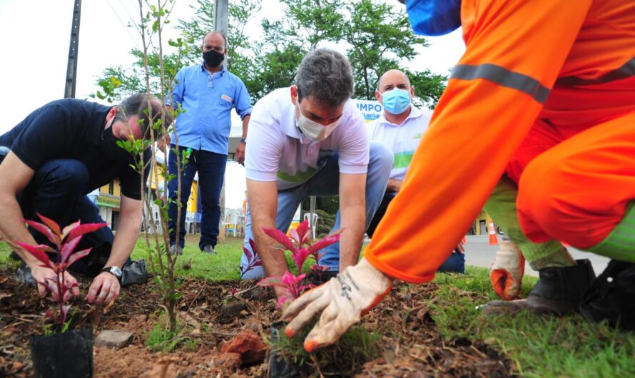 Prefeitura de São Luís instala o quarto Ponto Limpo da cidade, no bairro Areinha