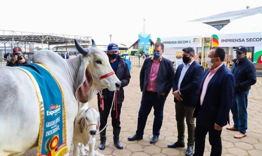 Em segundo dia na Expointer, governo maranhense discute cadeia produtiva voltada para a agroindústria