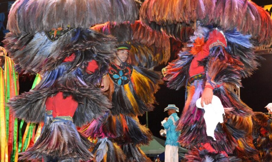 Bumba Meu Boi de Maracanã realiza oficinas virtuais de percussão e bailado