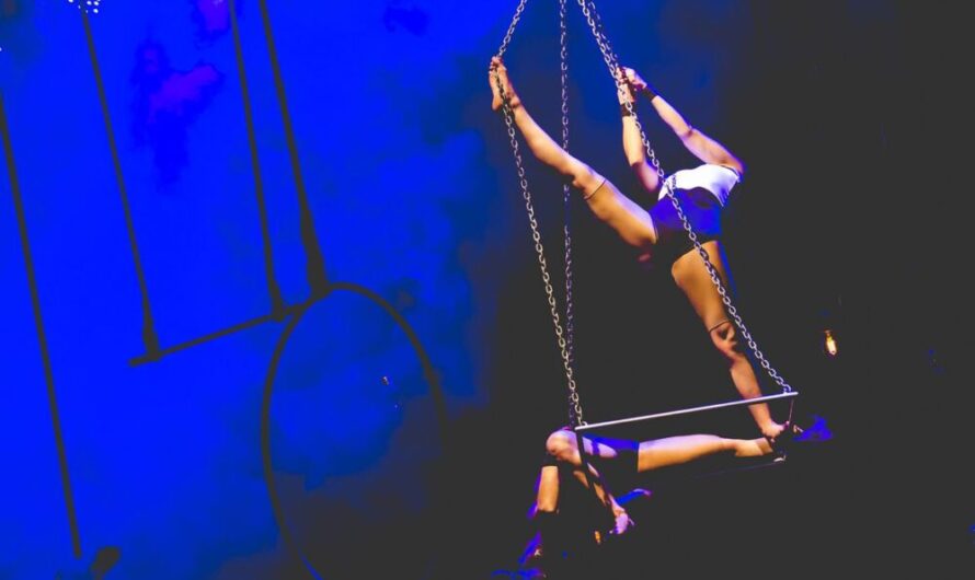São Paulo sedia quarta edição do Festival Internacional do Circo