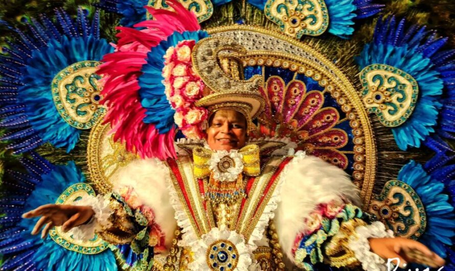 Enoque Silva – o destaque de luxo maranhense na Marquês de Sapucaí