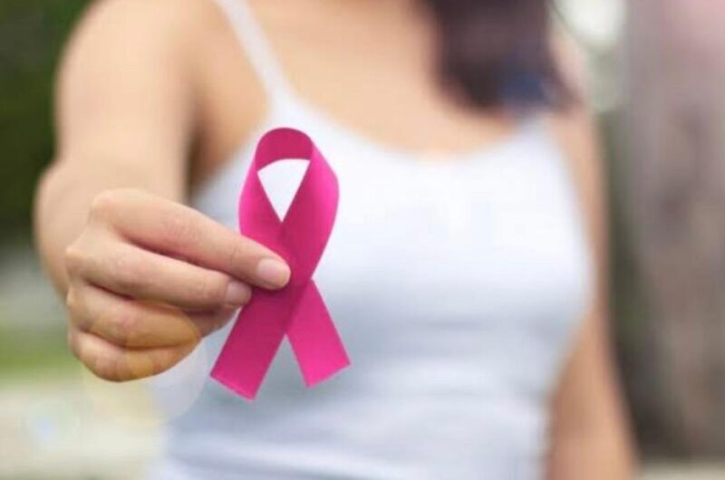 Palestra e Oficina sobre a importância da prevenção do câncer de mama no HSE/HSLZ