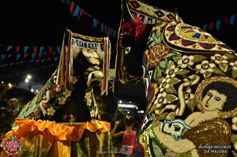 Vale divulga resultado de edital de prêmio para artistas do Maranhão e do Pará