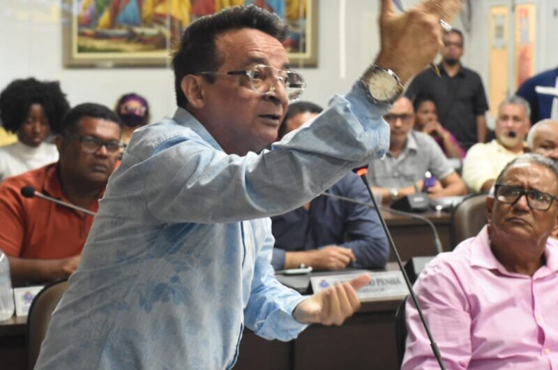 Secretário Marco Dualibe  apresenta ações do setor cultural em reunião na Câmara