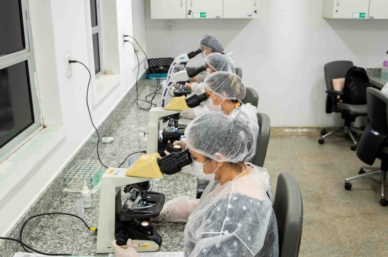 Lacen-MA realiza capacitação de Baciloscopia em Hanseníase para profissionais da saúde do Estado