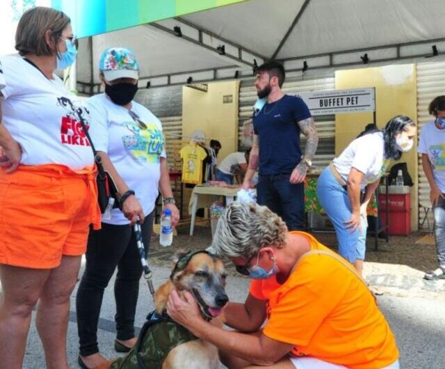 Feirinha São Luís promove vacinação antirrábica neste domingo (5)