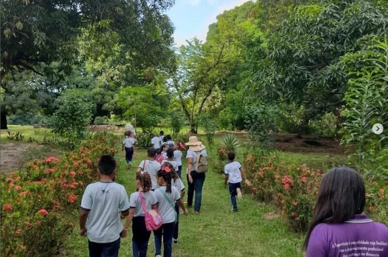 Ações de educação ambiental e patrimonial acontecem neste sábado, no Sítio do Físico