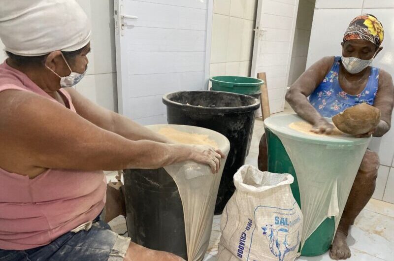 Pesquisa destaca luta compartilhada por mulheres indígenas e quebradeiras de coco babaçu Akroá Gamella