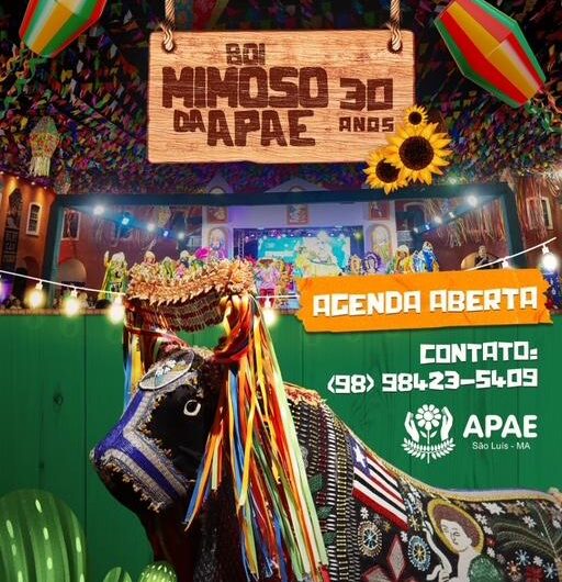 Bumba-Boi Mimoso da APAE de São Luís celebra 30 anos com agenda aberta para o São João 2025