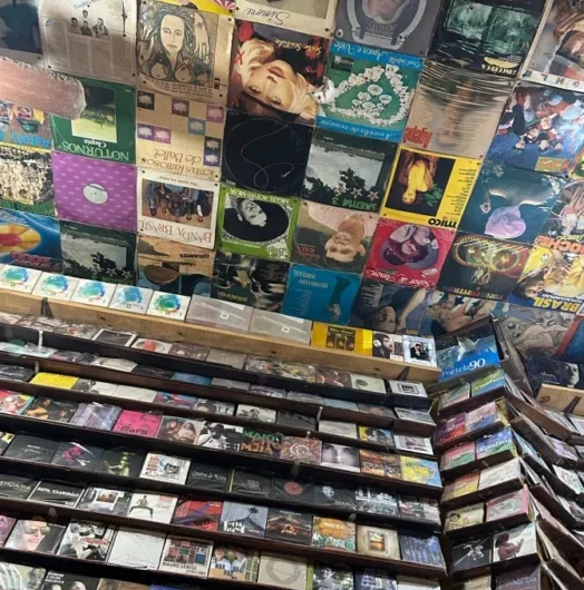 Roselane Plácido: a mulher por trás do acervo virtual da cultura popular maranhense