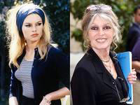 Brigitte Bardot: carreira, vida pessoal e polêmicas da atriz francesa