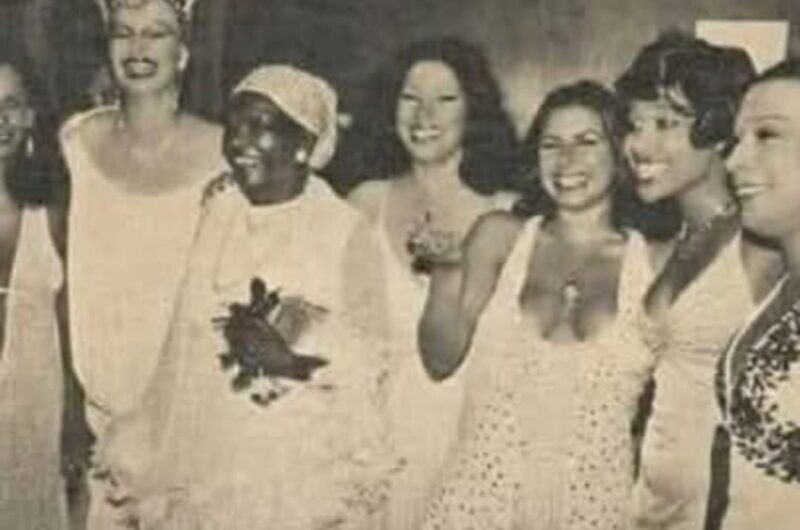 Viva os Heróis da Televisão e da MPB