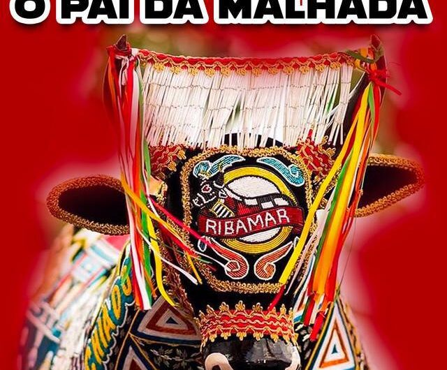 Boi de Ribamar celebra 50 anos e reforça tradição do bumba meu boi no Maranhão