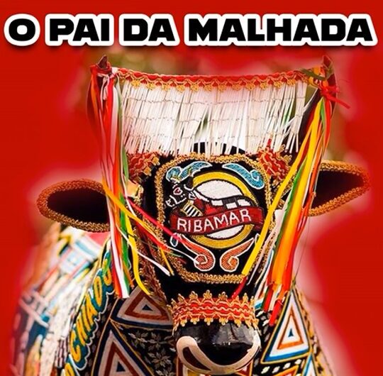Artigo: 50 anos do Pai da Malhada – Tradicional Boi de Matraca de São José Ribamar é a síntese da tradição junina da Ilha de Upaon-Açu. Por Marcos Saldanha