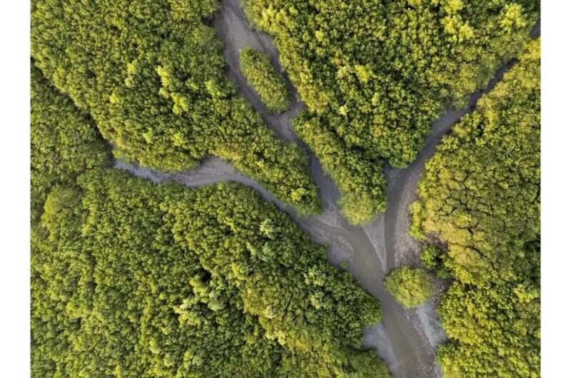 Edital oferece bolsas de R$ 10 mil para reportagens sobre adaptação climática em cidades costeiras