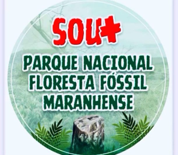 Pesquisadores iniciam a primeira etapa de geoprocessamento e poligonal dos Sítios Paleobotânicos, em Duque Bacelar e Coelho Neto