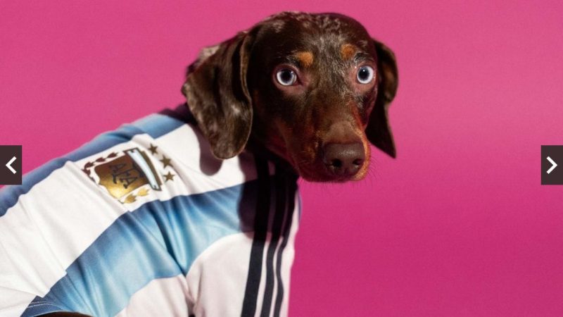 Adidas lança “cãoleção” especial de camisas da Copa do Mundo de 2026 para pets. Linha traz réplicas das camisas de Argentina, México, Colômbia e Japão em versão para cães. Vendas começam em 1º de maio em lojas físicas e pelo site