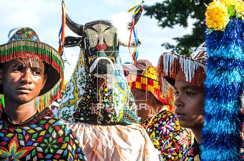 Boi da Fé em Deus celebra 100 anos com fé, devoção e resistência cultural em São Luís