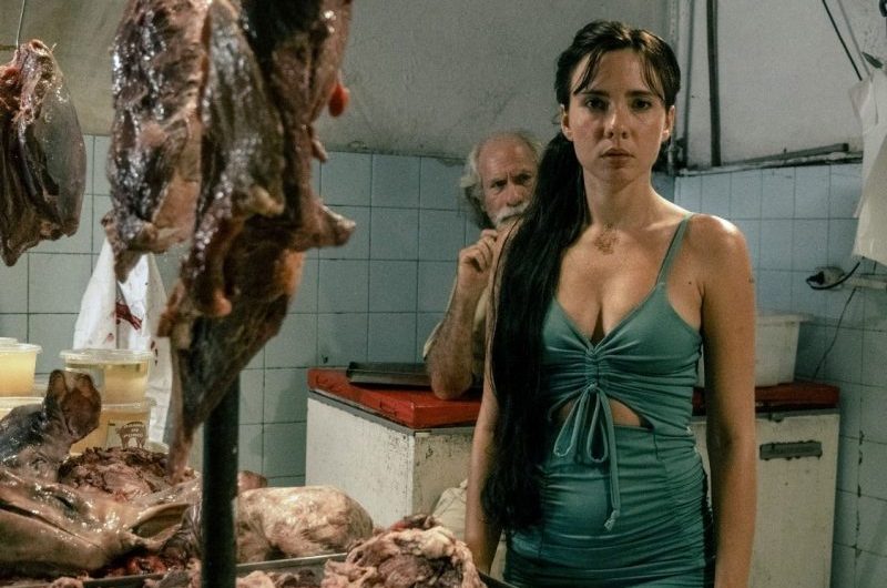 Produção maranhense “Mercado Central”, de Tássia Dhur, terá estreia nacional no festival Cine/PE, em Recife. A sessão ocorrerá no dia 02 de junho, às 19h, no Cinema do Teatro do Parque, como parte integrante da Mostra Competitiva de Curtas-Metragens Nacionais.
