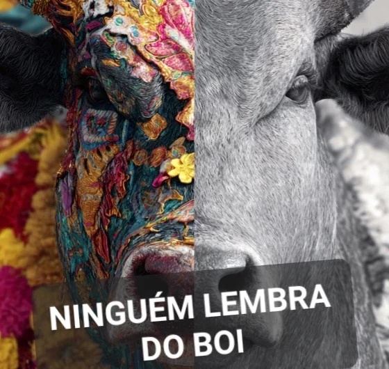 NINGUÉM LEMBRA DO BOI
