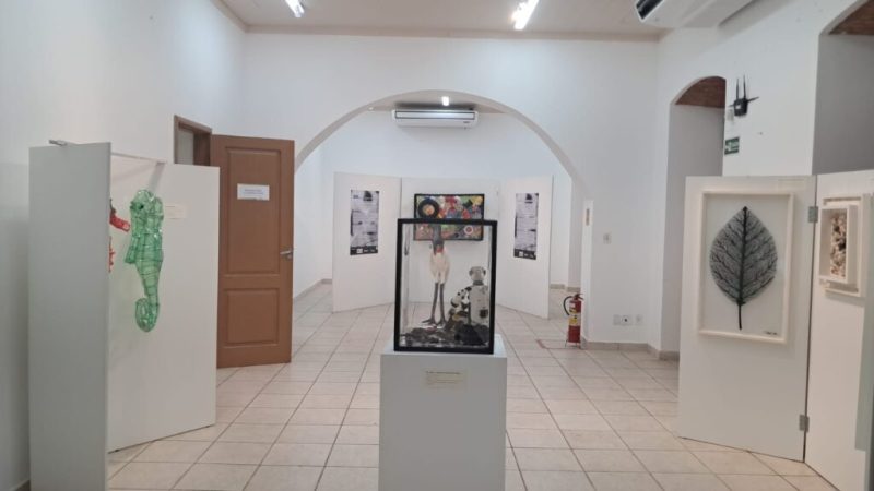 Galeria Trapiche: onde a inovação e o empreendedorismo se aliam para revelar novos talentos nas artes plásticas. Por Euclides Moreira Neto