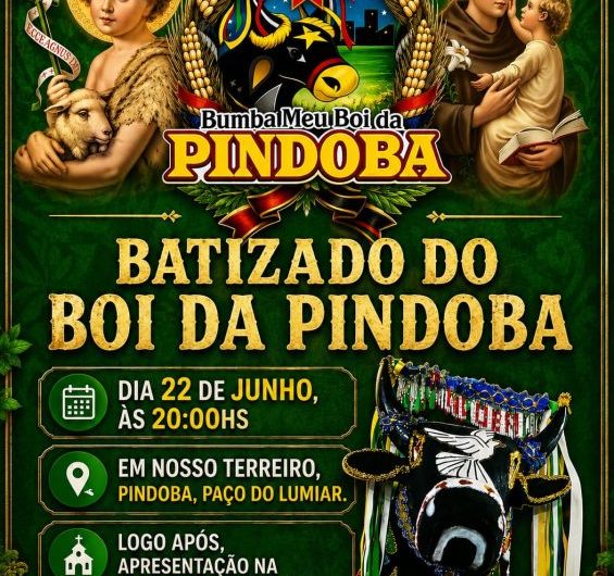 Veja mais atrações da Agenda Cultural Junina da Ilha! Tem Boi da Pindoba, Exposição Exuberantes Cazumbás, Governo do Brasil na Rua, na Cidade Operária e muito mais!