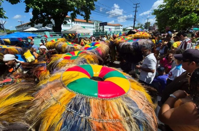 João Paulo em festa: Bois de matraca fazem linda homenagem a São Marçal. Por Gutemberg Bogéa!