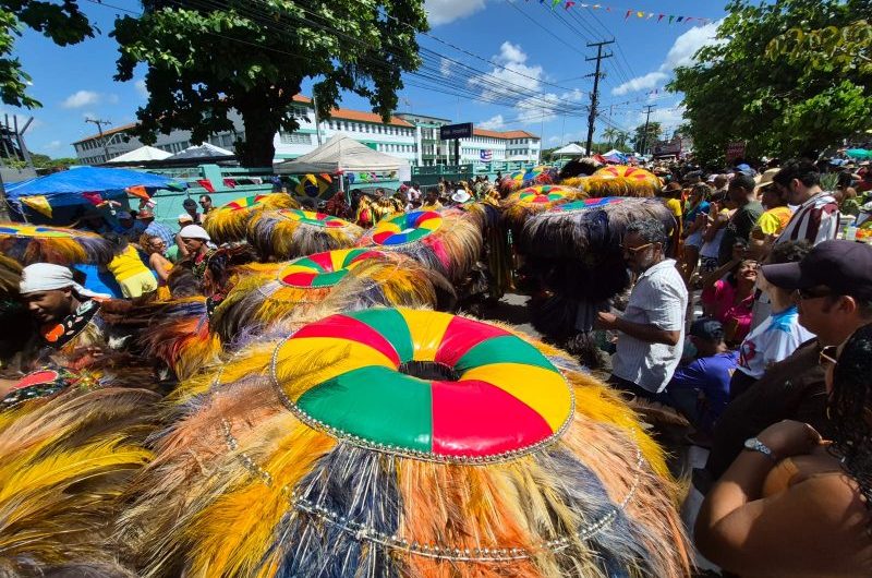 Deu bode no desfile de bois de matraca na Avenida São Marçal