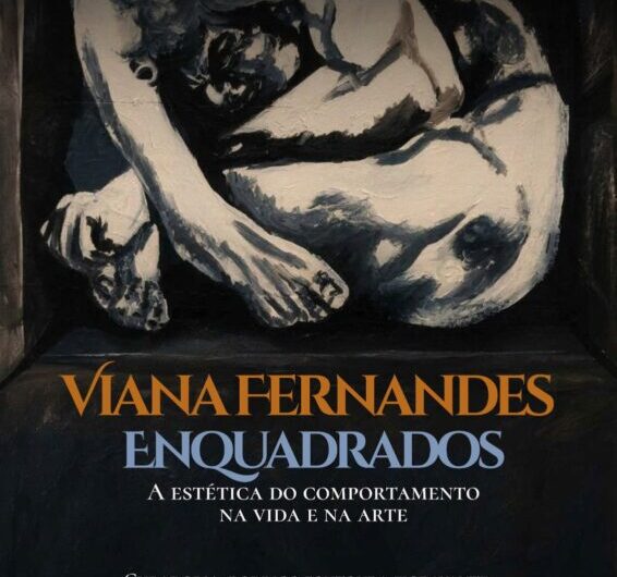A Metalinguagem como Grito de Liberdade: Uma Análise Crítica da Exposição de Viana Fernandes